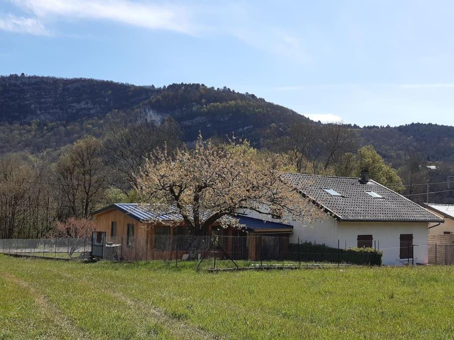 Echallon La Cabane D'Harmony Ile Chambod 4 Chambres المظهر الخارجي الصورة